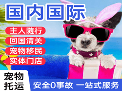 梅县航空托运国际宠物托运 【国